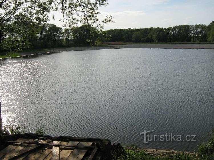 Pavlovický Pond II