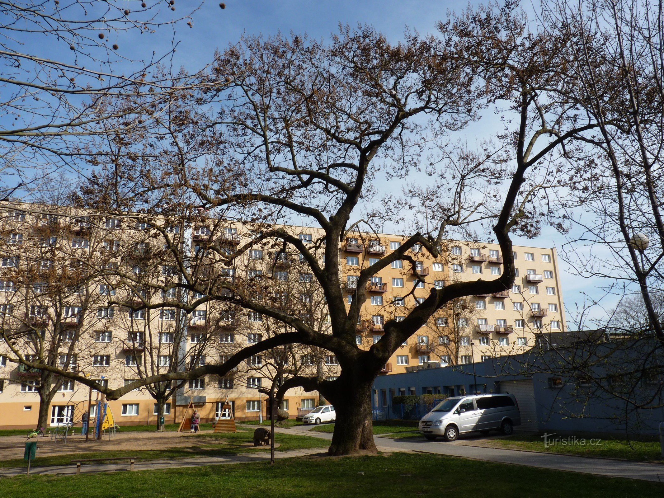 Pavlovnie En el patio de recreo