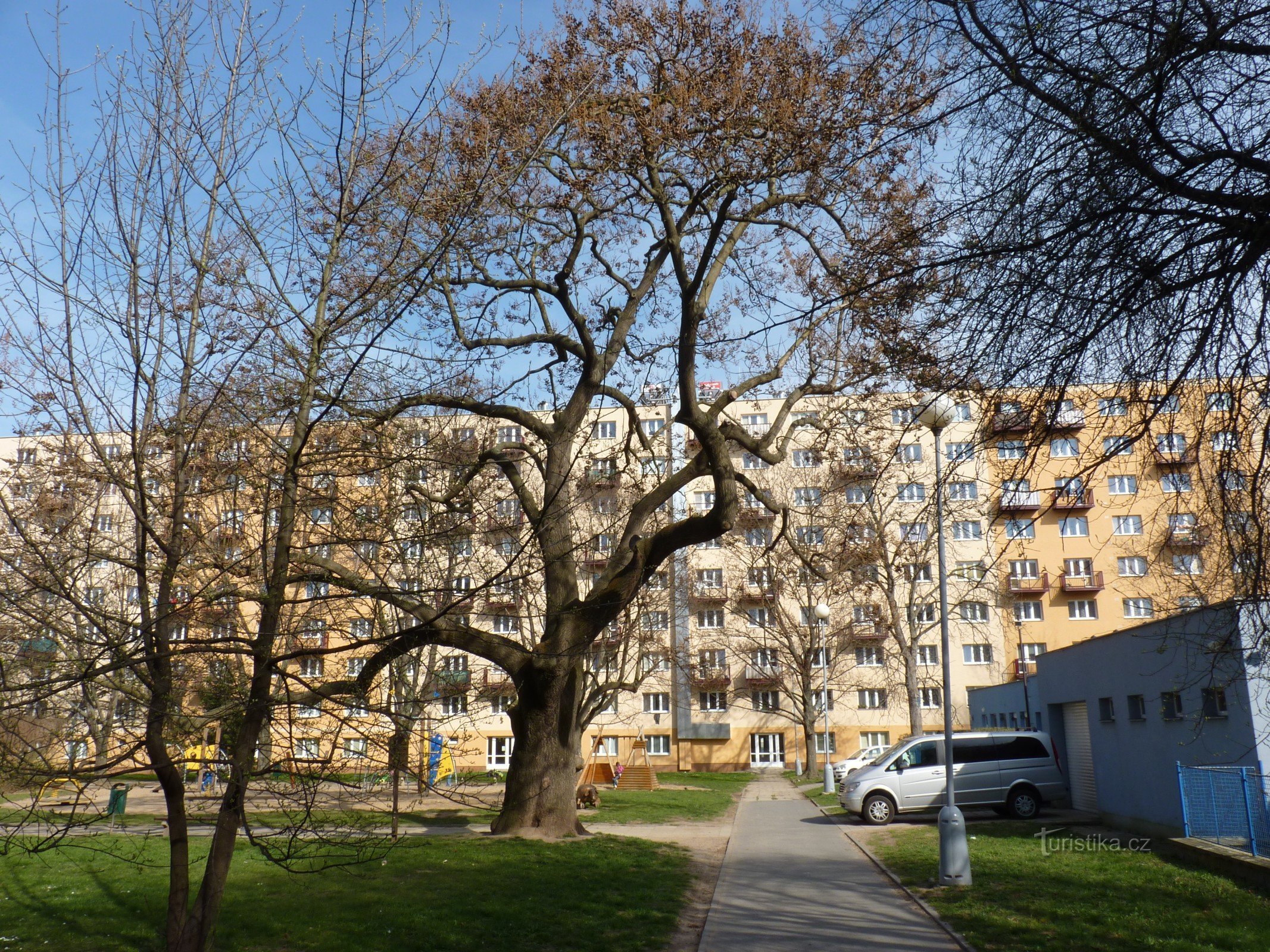 Pavlovnie En el patio de recreo