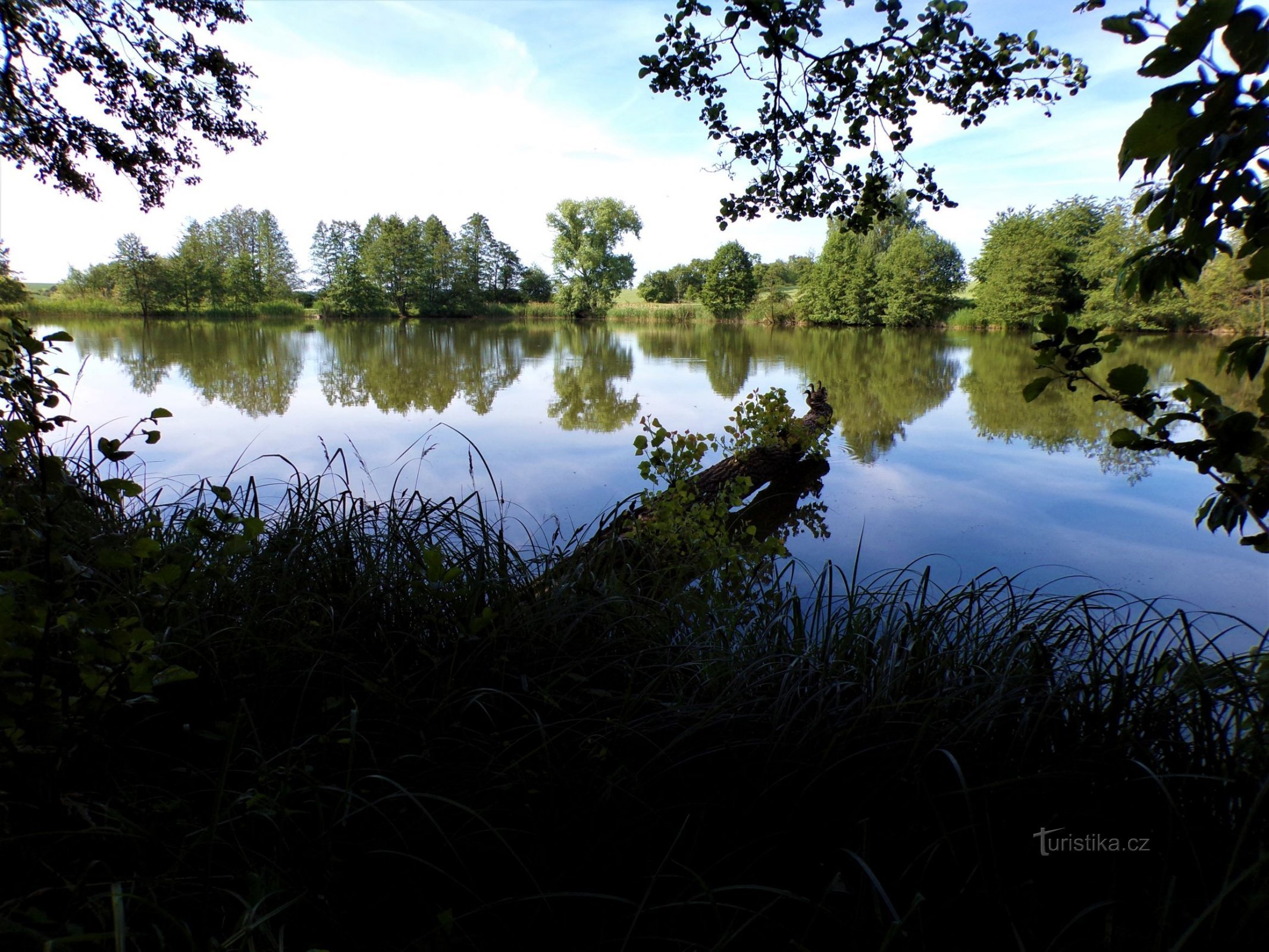 Pavlovský rybník (Jeníkovice, 15.6.2021)