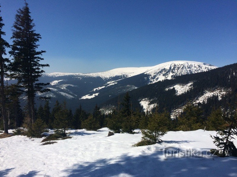 Pec - Růžohorky - Schneekoppe - Výrovka - Pec