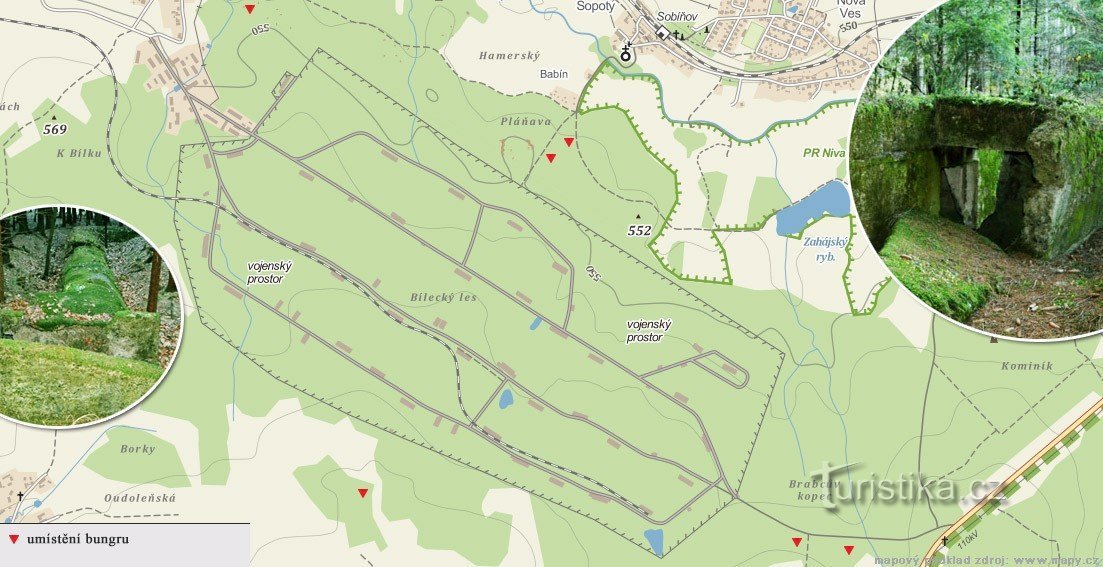 Tapones de infantería en el bosque