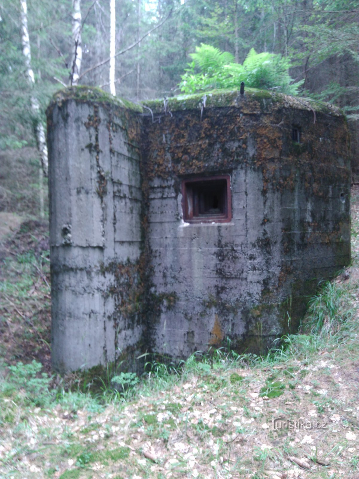 Cabane d'infanterie dans la forêt au-dessus d'Ostružná