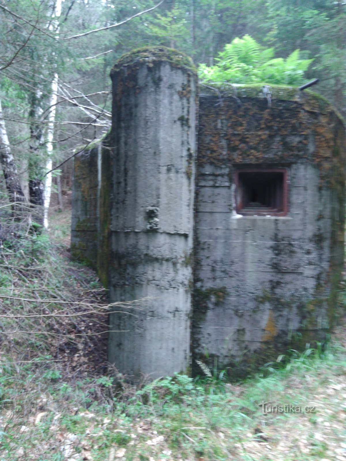 Infanteriehütte im Wald oberhalb von Ostružná