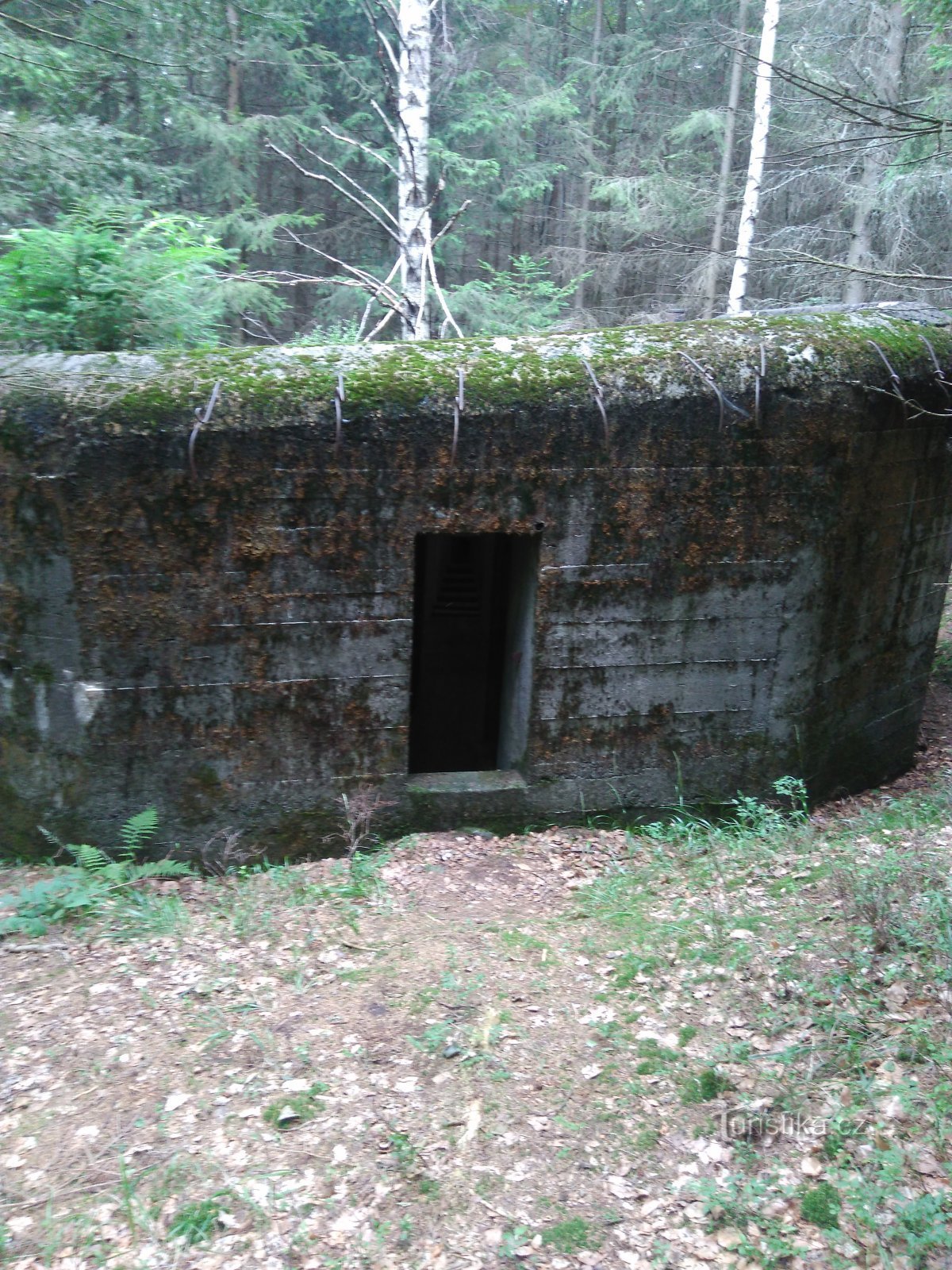 Cabine de infantaria na floresta acima de Ostružná