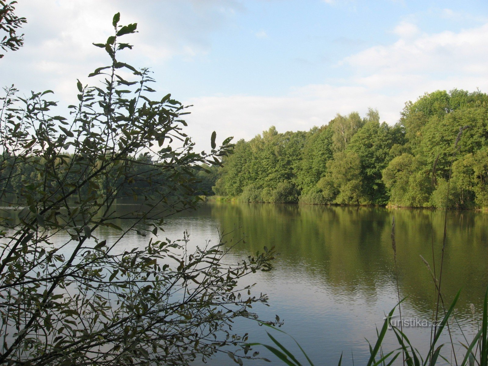 Pecovský pond