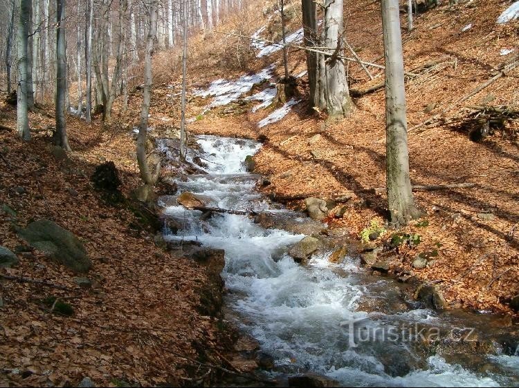 Pekelský potok: Cascades sur Pekelský potok