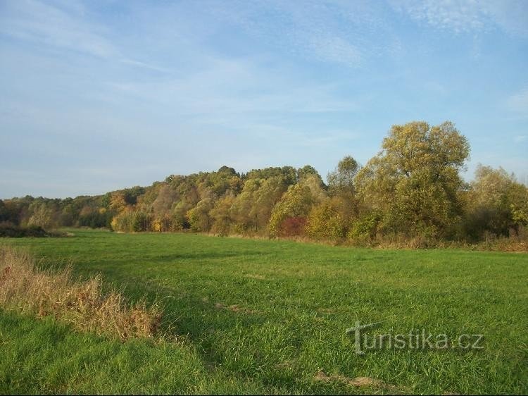 Peklisko: Widok na wzgórze