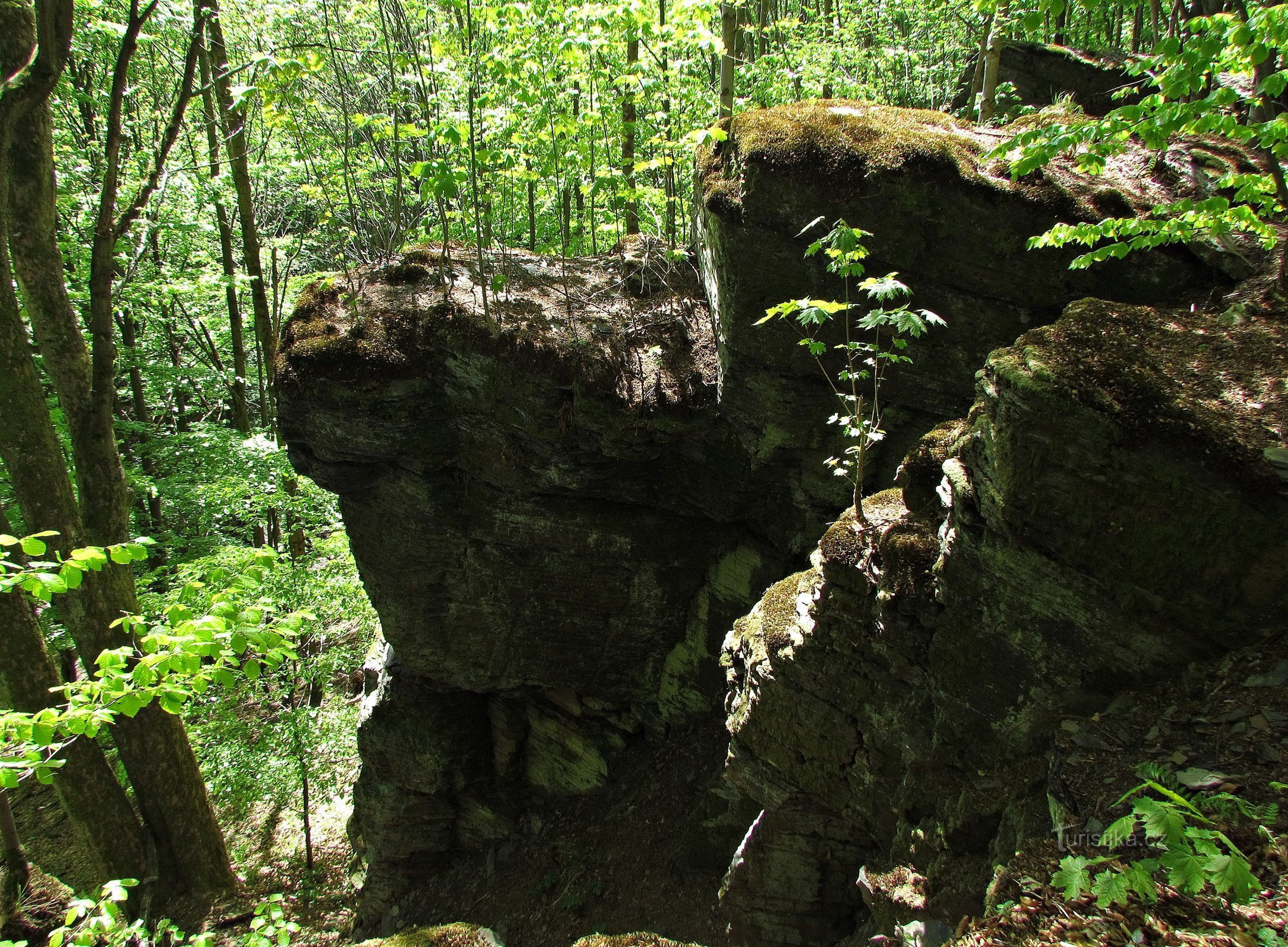 Hell - The Devil's Pulpit