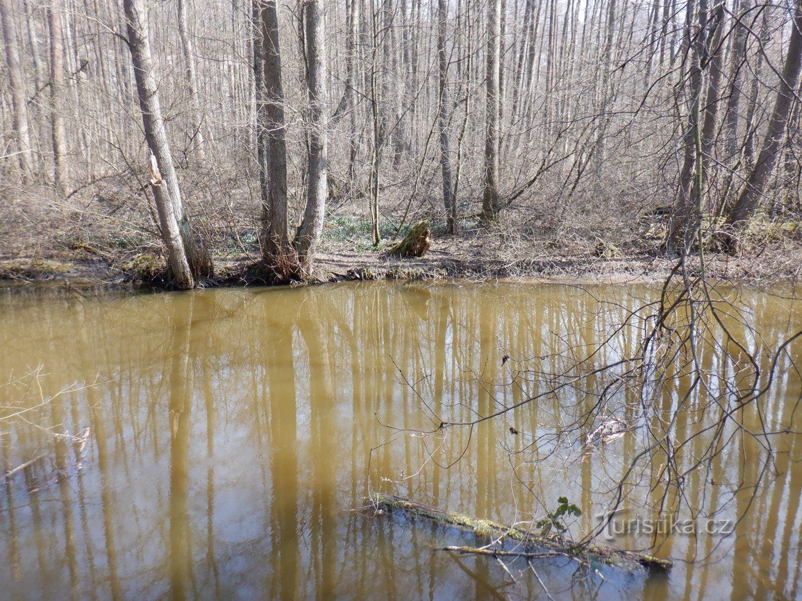 Enfer avec la princesse et Bledule jrání (près du lac de Mách)