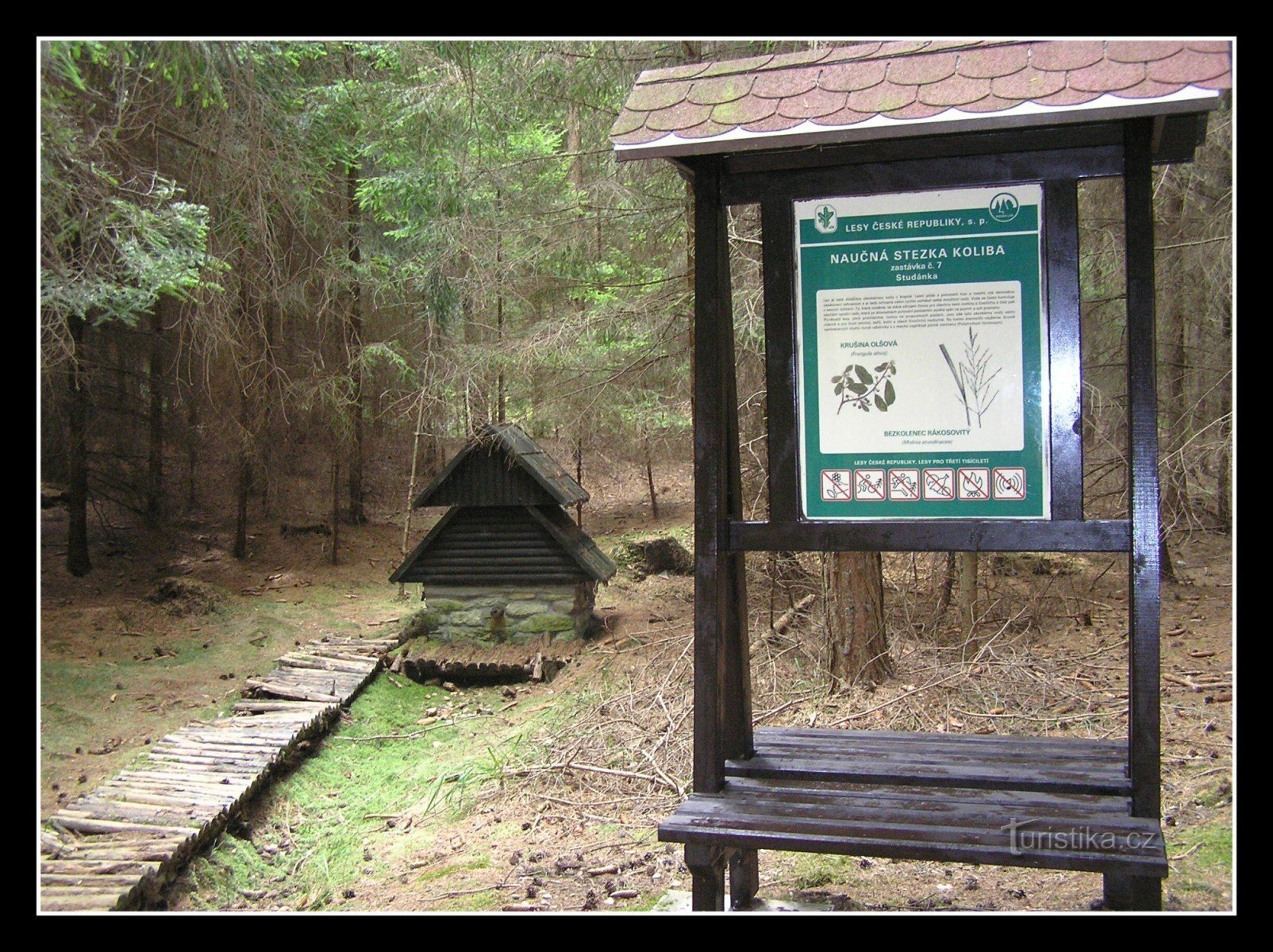 schöner Waldweg