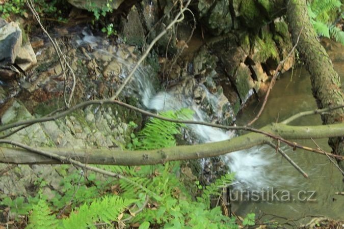 The rapids of the Kalský potok