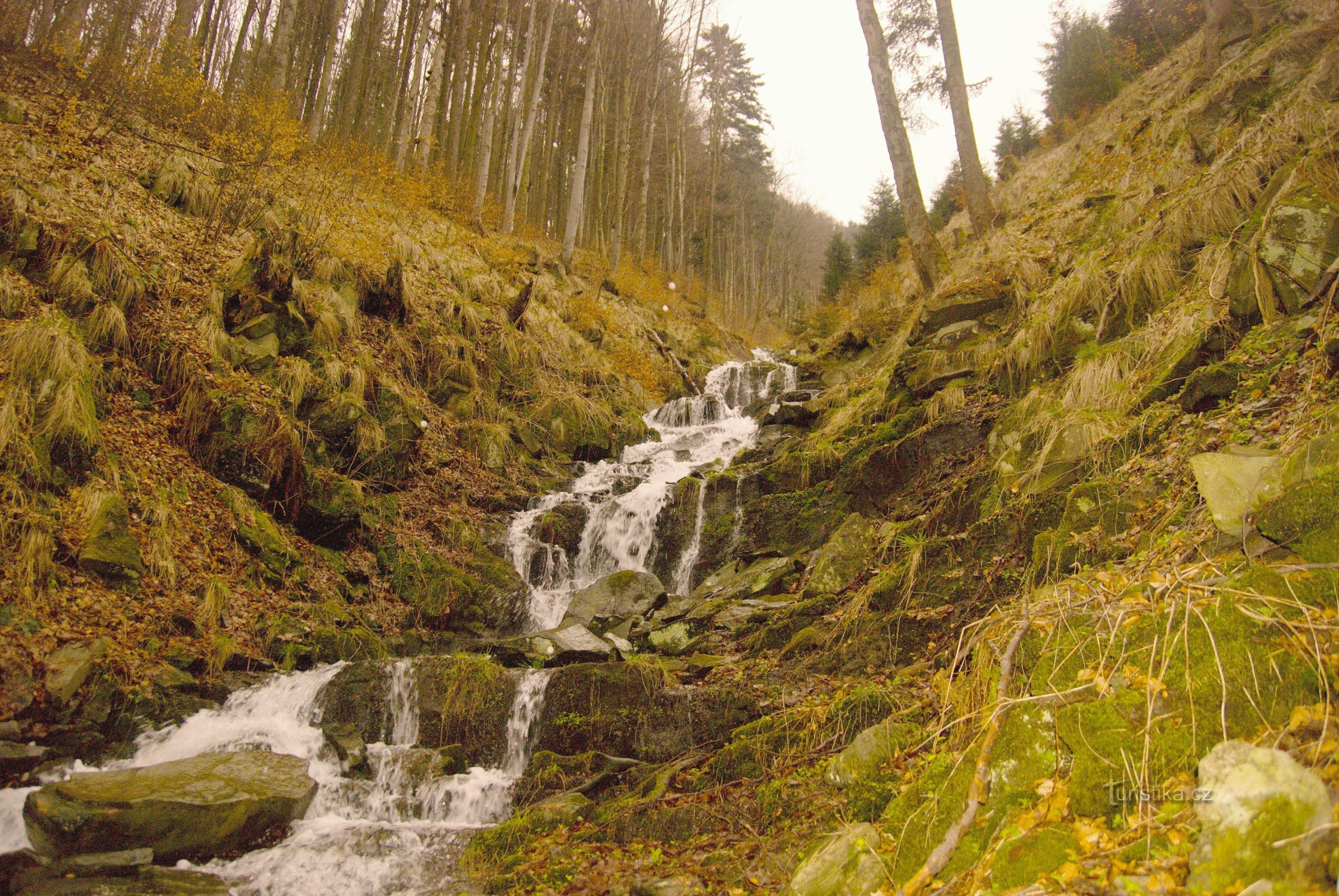 Suchy potok Rapids