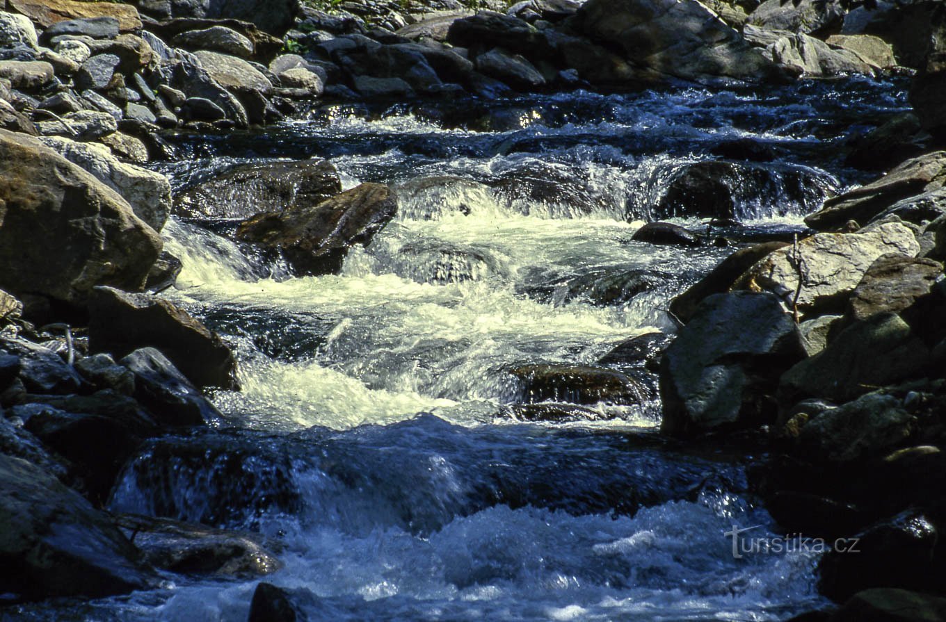 Rapids in Divoká Desná