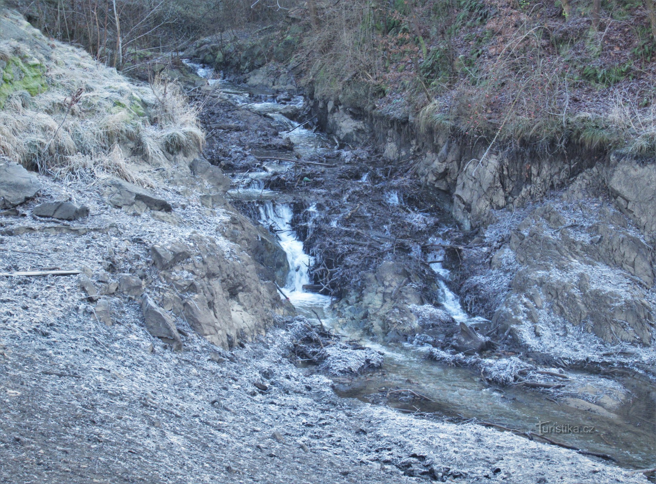 Eichhörnchen-Stromschnellen