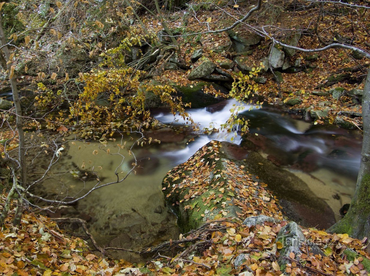 rapids on the stream