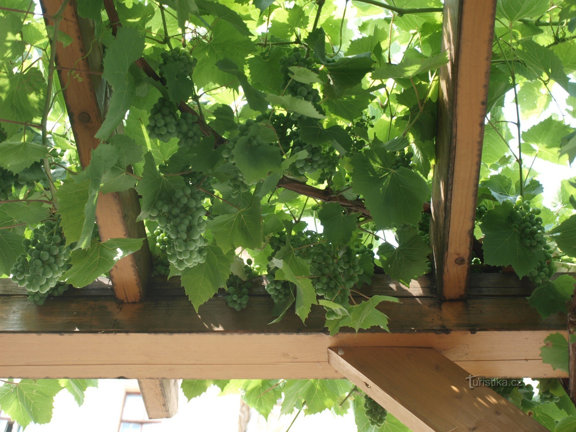 Pergola - Kloster Louka