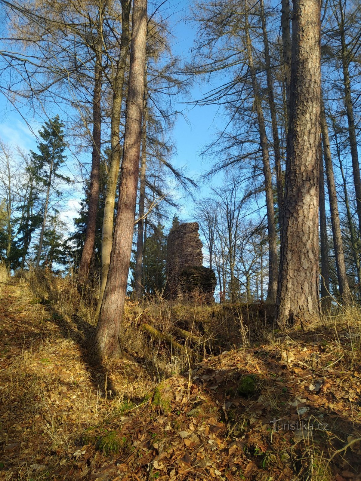 Perštejn (ruine)