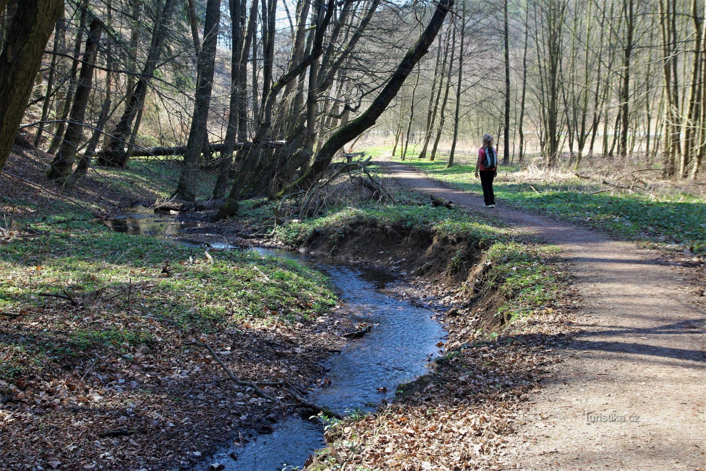 Der Fußweg verläuft entlang des Flusses Ponávka