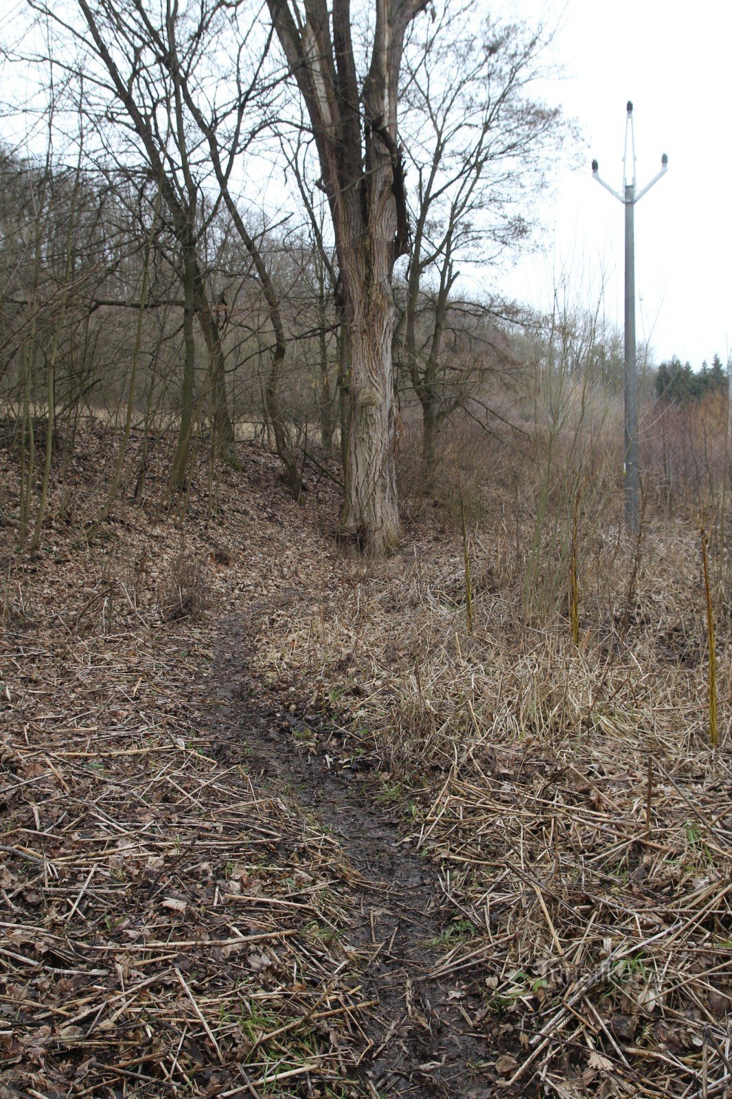 Fußweg zum Brunnen