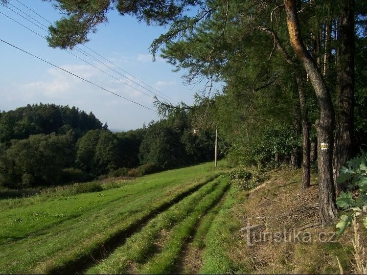 Wanderweg: Ein Wanderweg führt über die Wiese nach Chvalíkovice