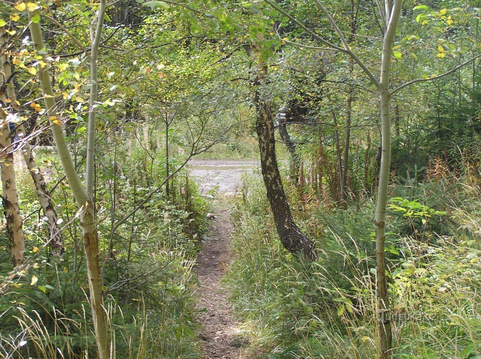 sentier de Divoké dol