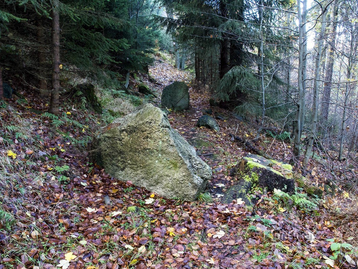 Sentier vers la source