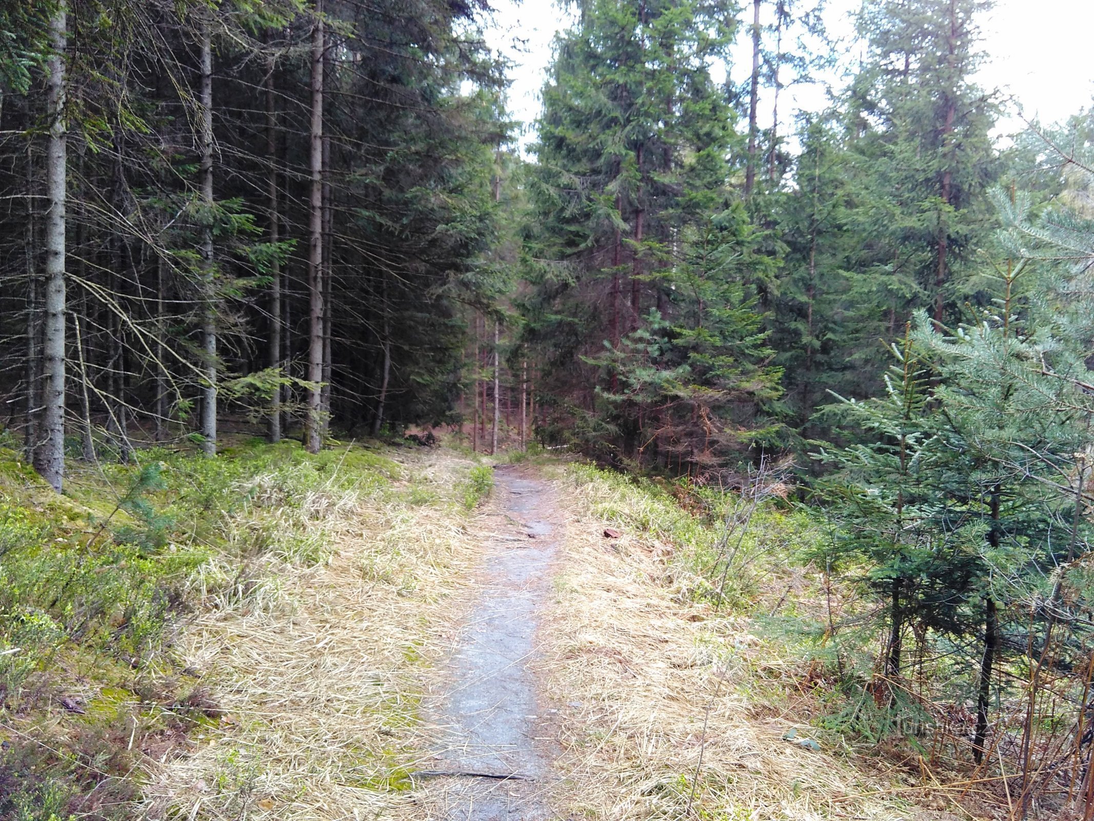 sendero Udolím Samoty