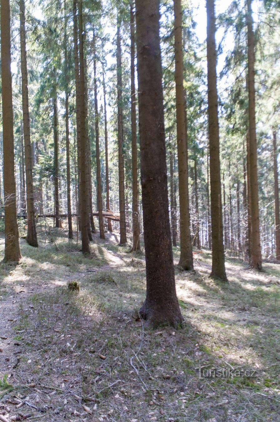 Kävellen bunkkeriin