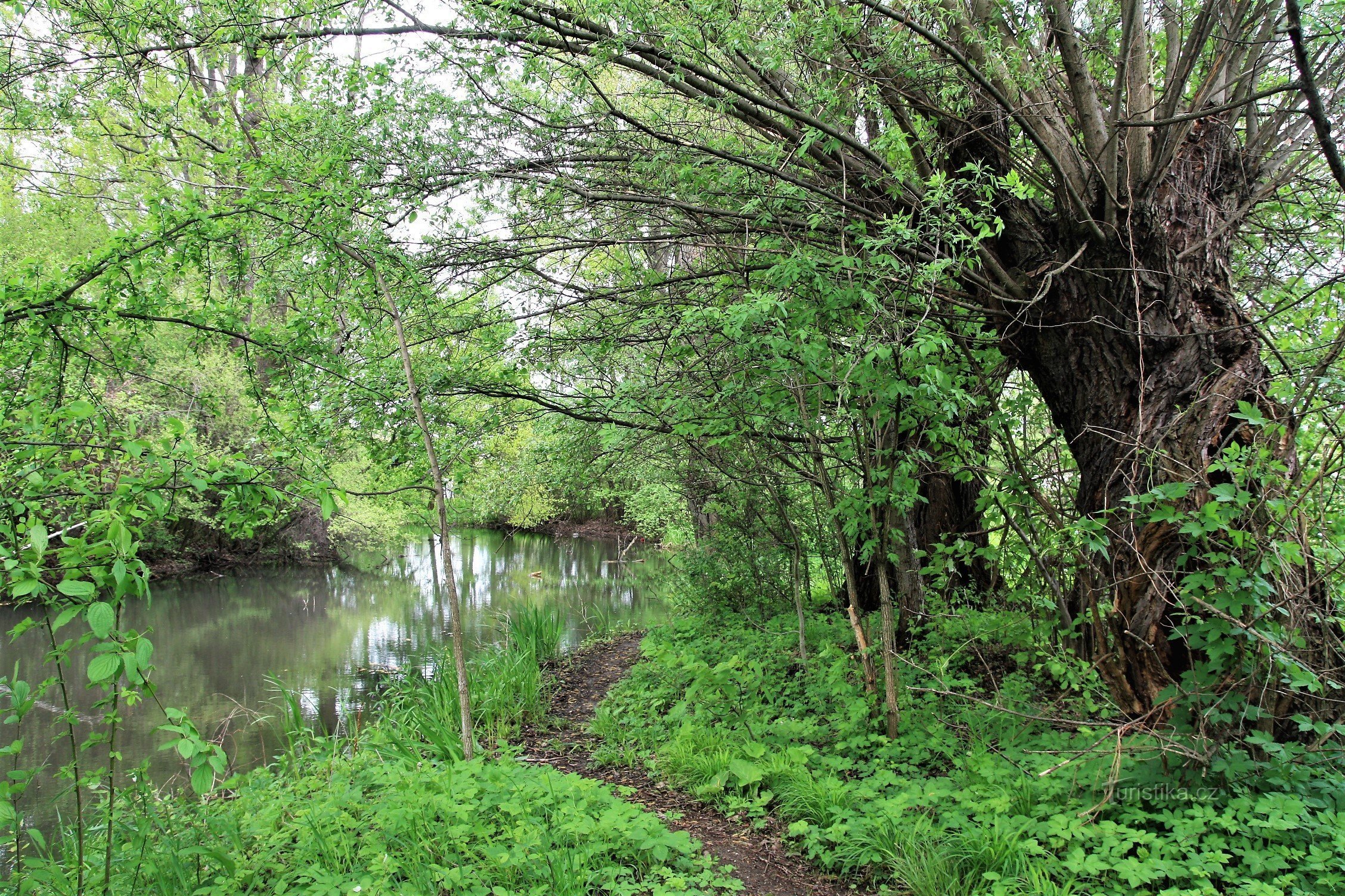 On foot along Kašpárk lake in Holáské