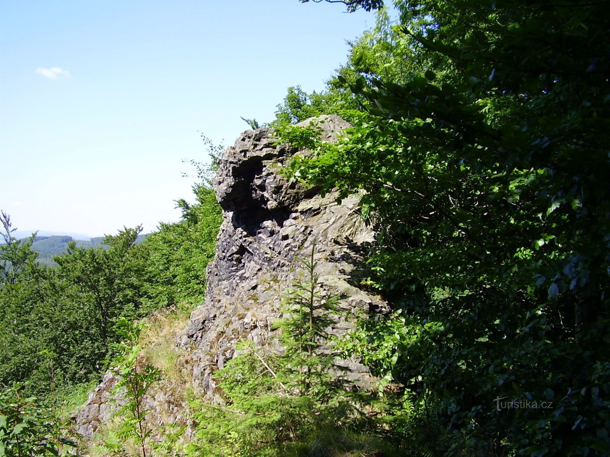 Pięcioksiąg 2008