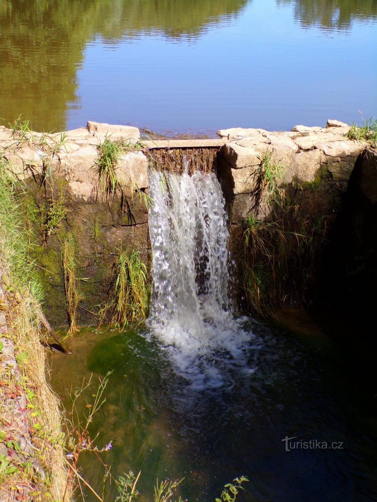 Petirův rybník (Hustířany, 18.7.2022)
