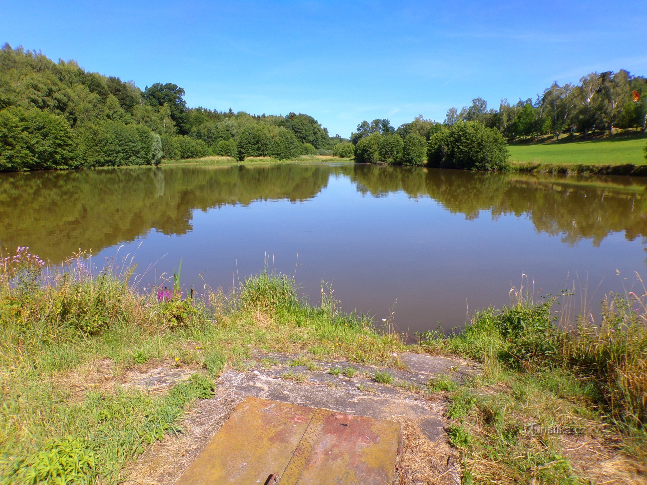 Petirův rybník (Hustířany, 18.7.2022)