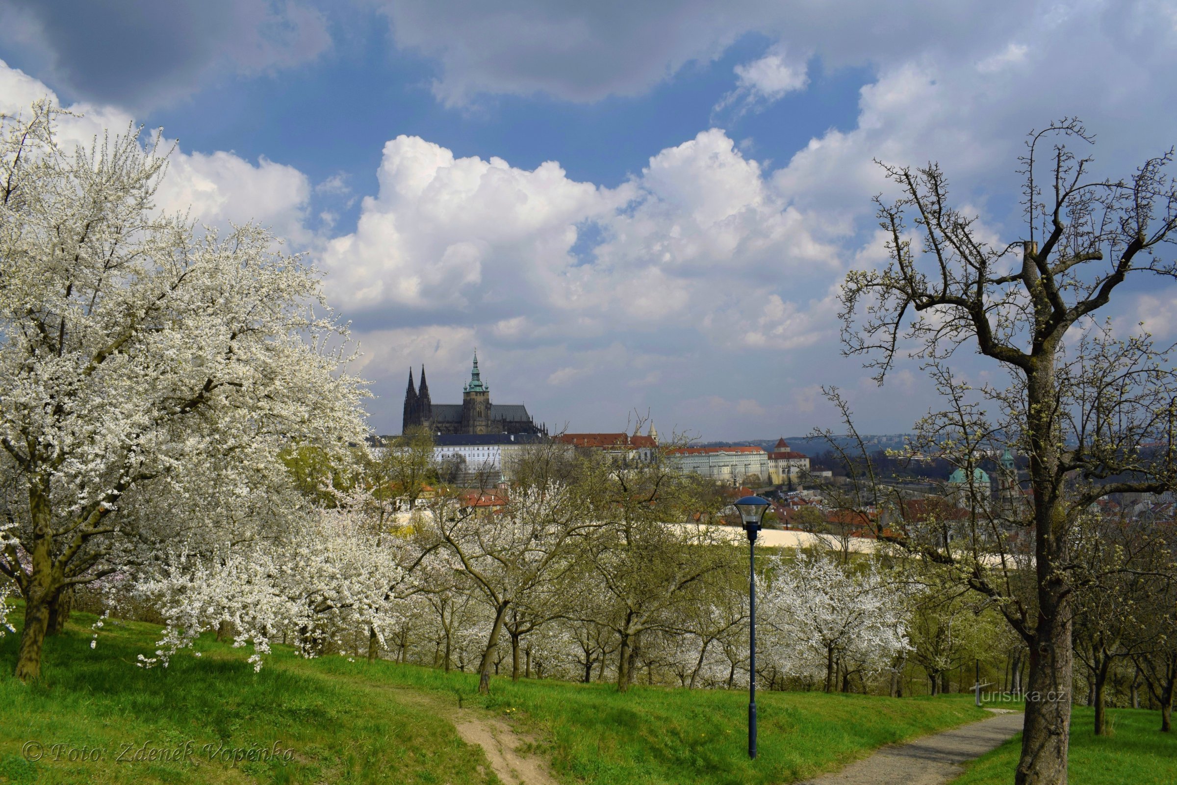 Petřín - jarní procházka rozkvetlou Prahou.