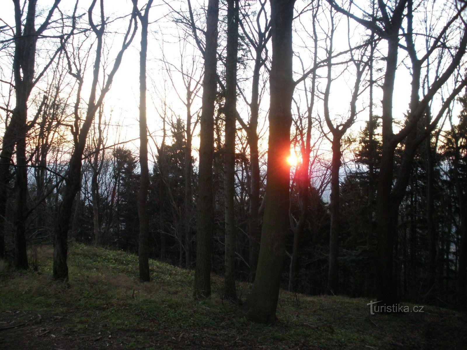 Petrkoviška gora (Petřkovská hůrka)