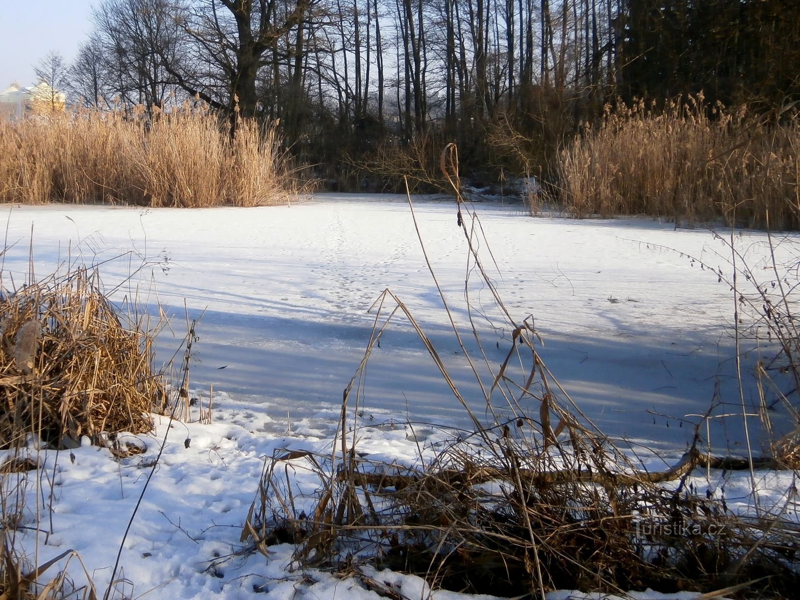 佩特罗夫湖 (Hradec Králové, 13.2.2017/XNUMX/XNUMX)