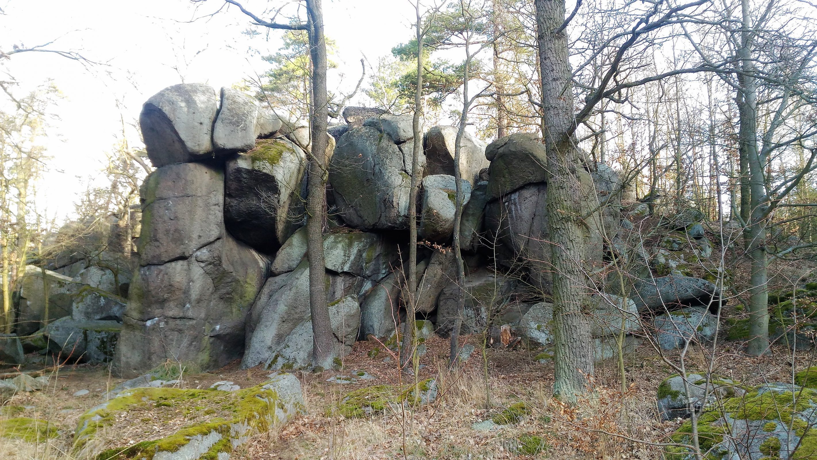 サンクトペテルブルクの岩。