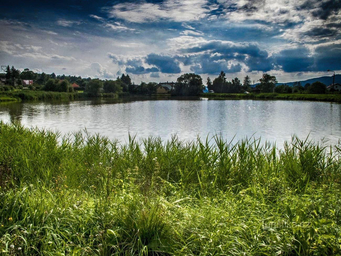 Petrovsky rybník