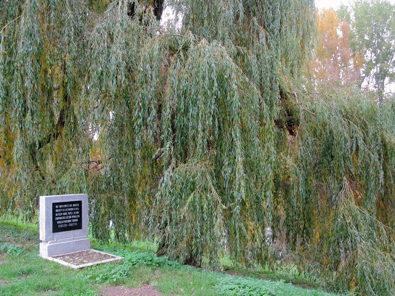 Place of worship near Ohře