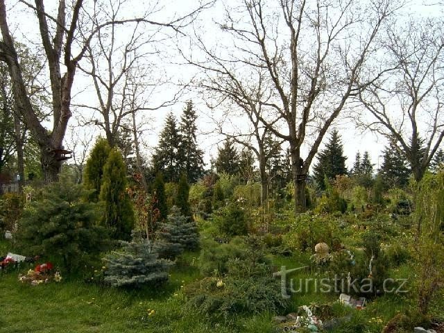 Parcul Pietní Bohnice nr. 6