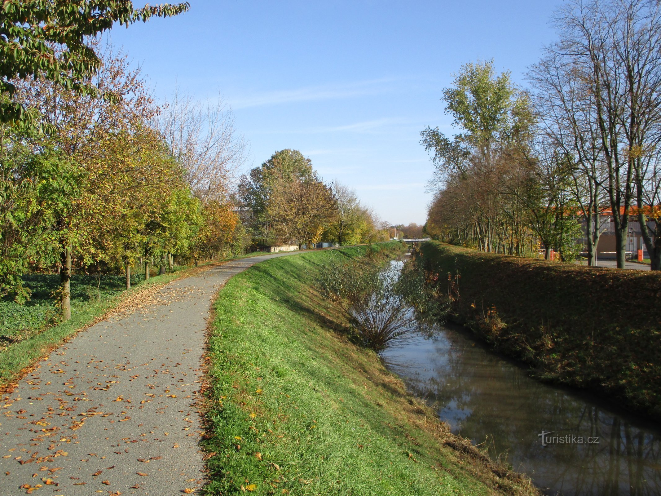 Piletic stream near Rubena (Věkoše)