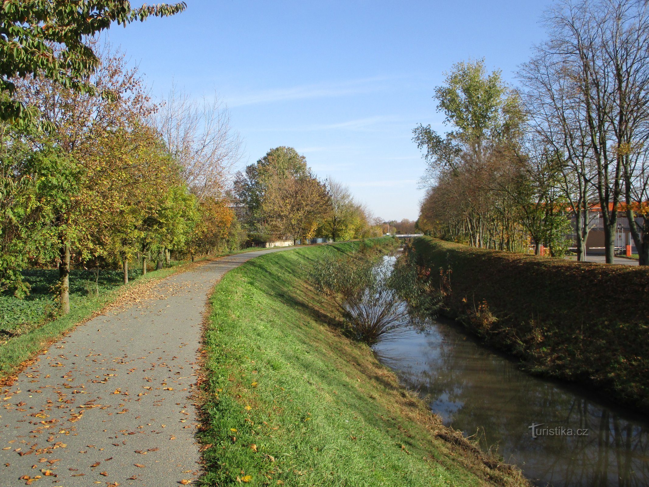 Piletisk strøm nær Rubena (Věkoše)