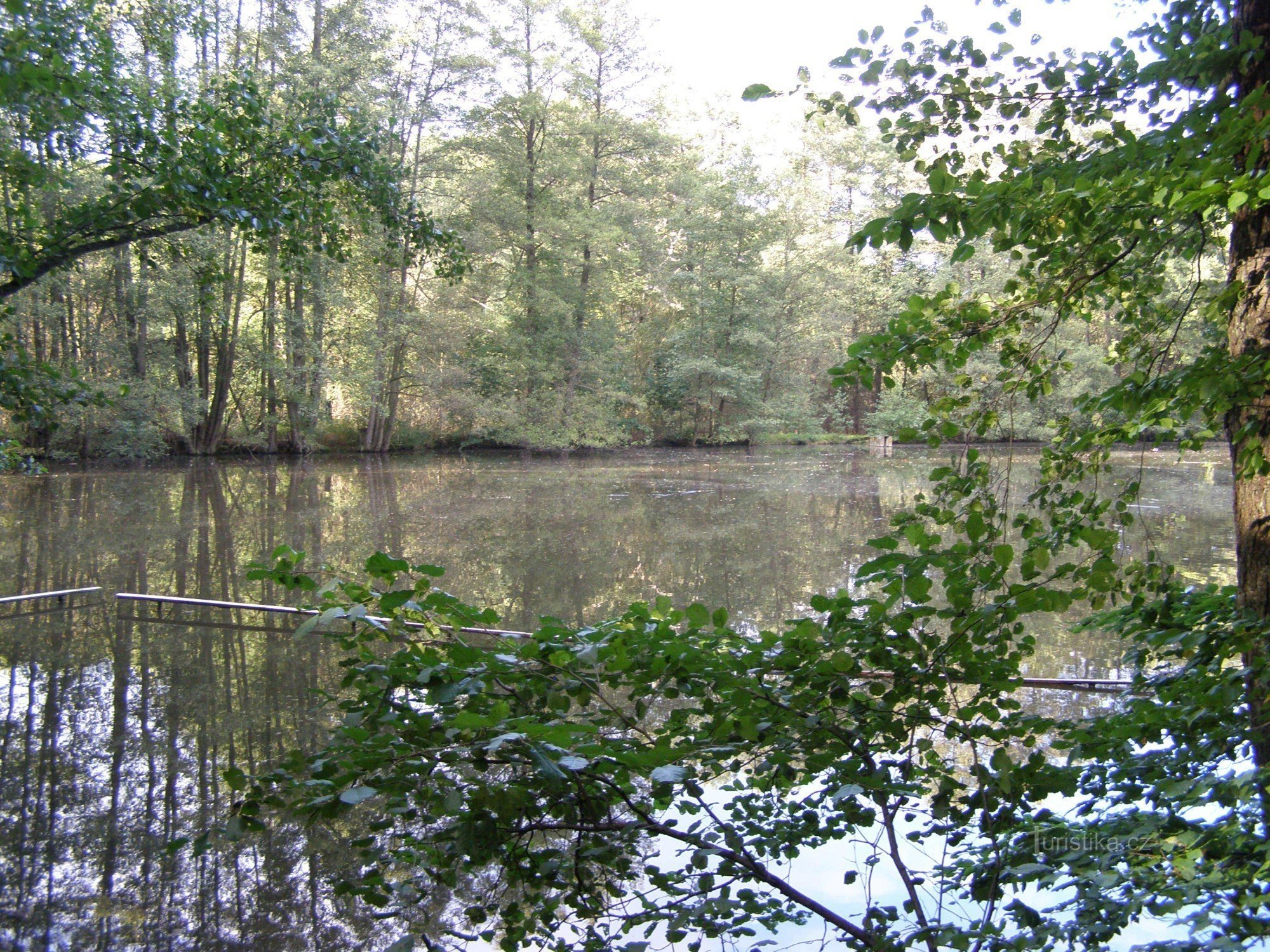 Pilsky pond