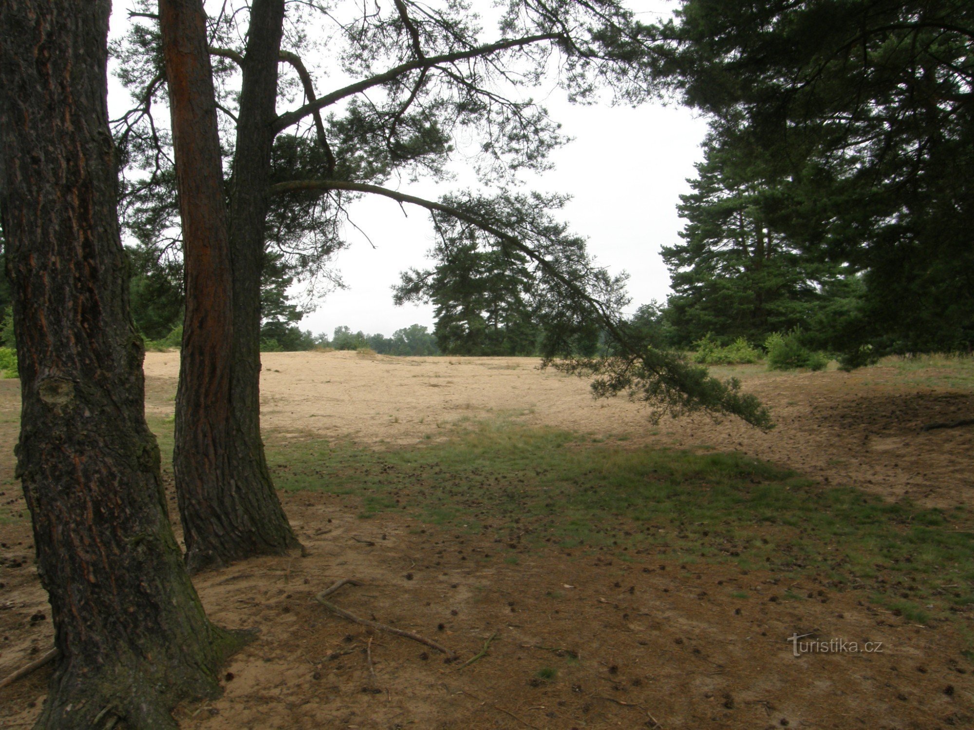 Derramamento de areia perto de Vlkov