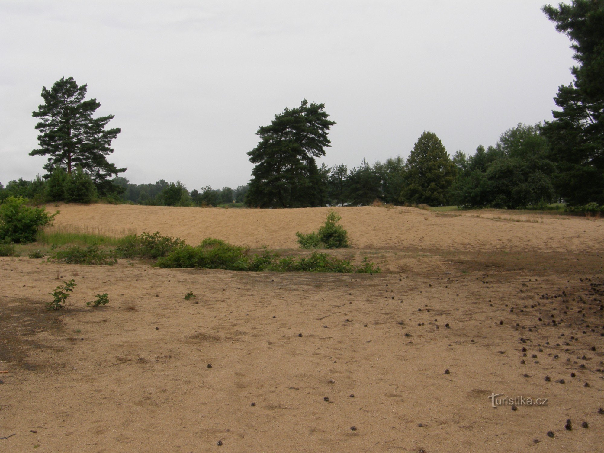 Sandpest in der Nähe von Vlkov