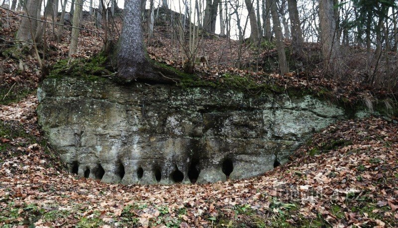 Sandstone pillars near Česká Metuja