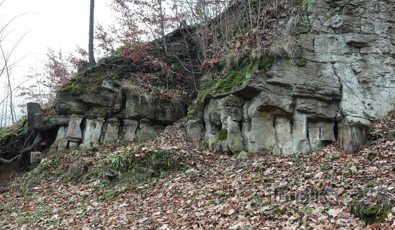 Những cột đá sa thạch gần Česká Metuja