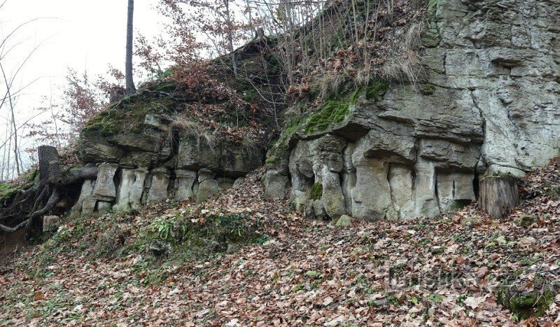 Pilares de arenisca cerca de Česká Metuja