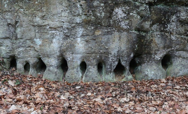 Những cột đá sa thạch gần Česká Metuja