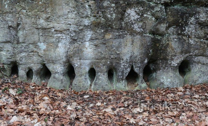 Zandstenen pilaren bij Česká Metuja